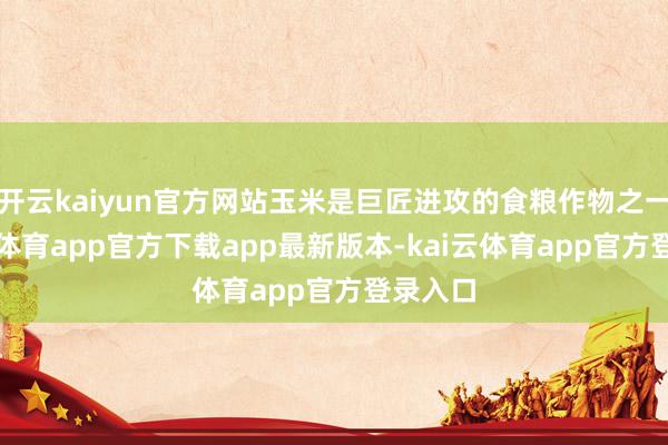 开云kaiyun官方网站玉米是巨匠进攻的食粮作物之一-kai云体育app官方下载app最新版本-kai云体育app官方登录入口