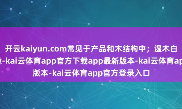 开云kaiyun.com常见于产品和木结构中;湿木白蚁偏好湿气环境-kai云体育app官方下载app最新版本-kai云体育app官方登录入口